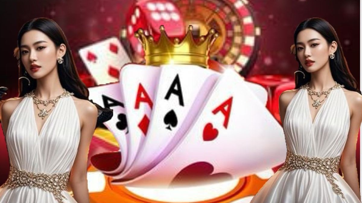 955bet