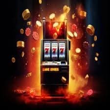 955bet