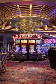 955bet