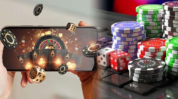 955bet